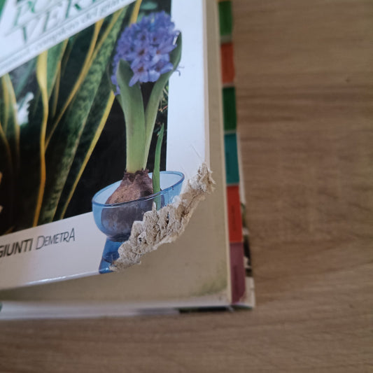 Pollice verde - il manuale completo del giardinaggio Demetra 9788844026325