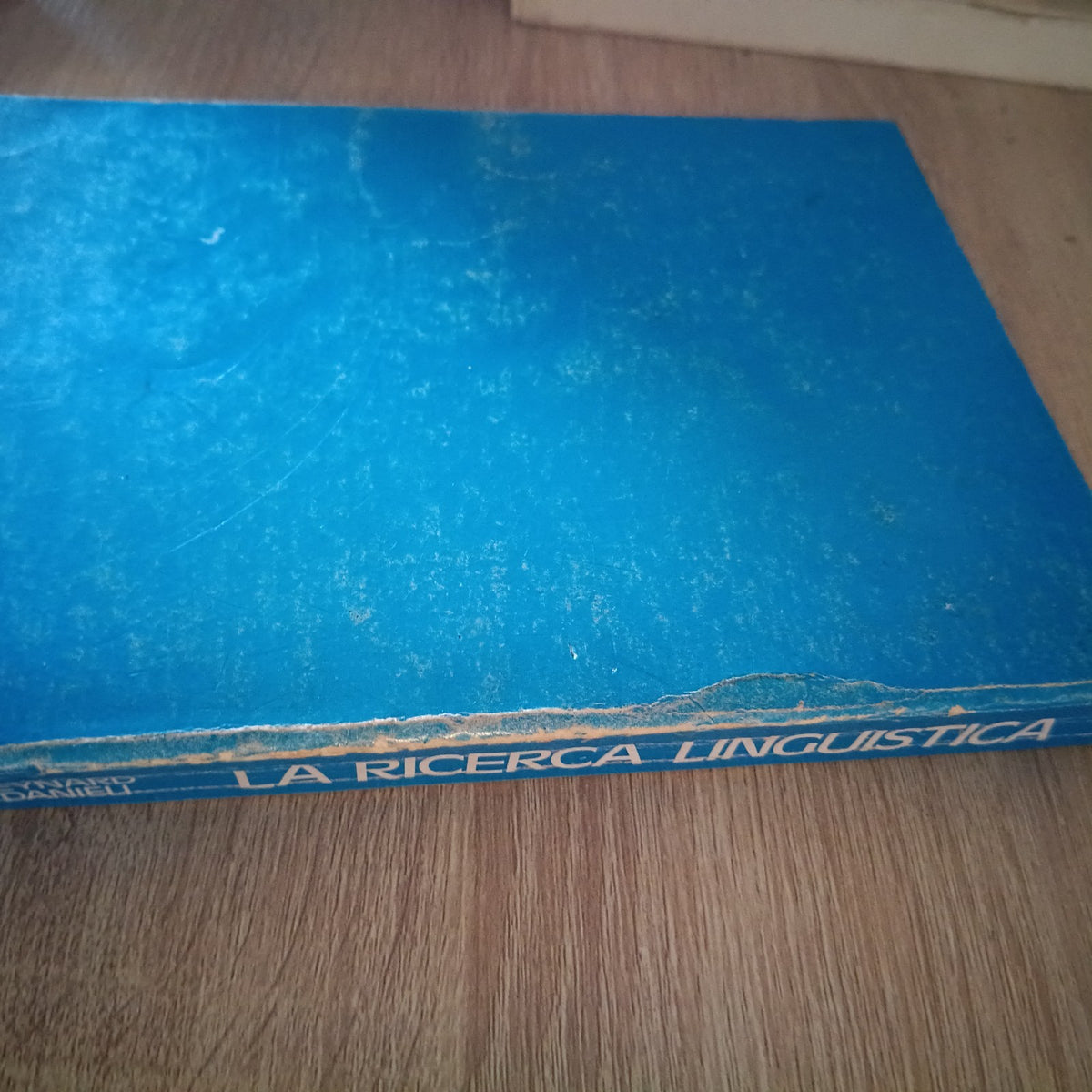 LA RICERCA LINGUISTICA - ROBERTO EYNARD / SERGIO DANIELI - SEI - 1977 - VINTAGE
