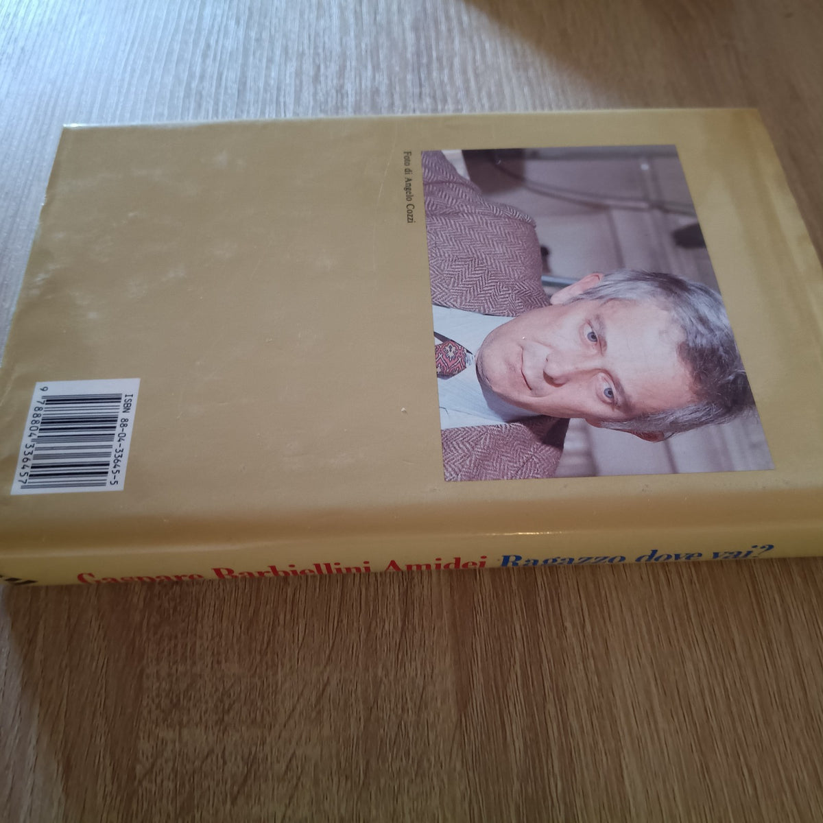 Ragazzo, dove vai? Esperienze di un genitore. G. Barbiellini Amidei 1990