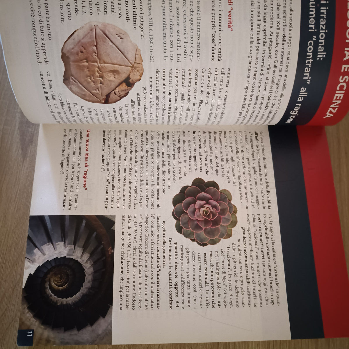 Libro usato "L'ideale e il reale" 1 Dalle origini alla scolastica - Pearson