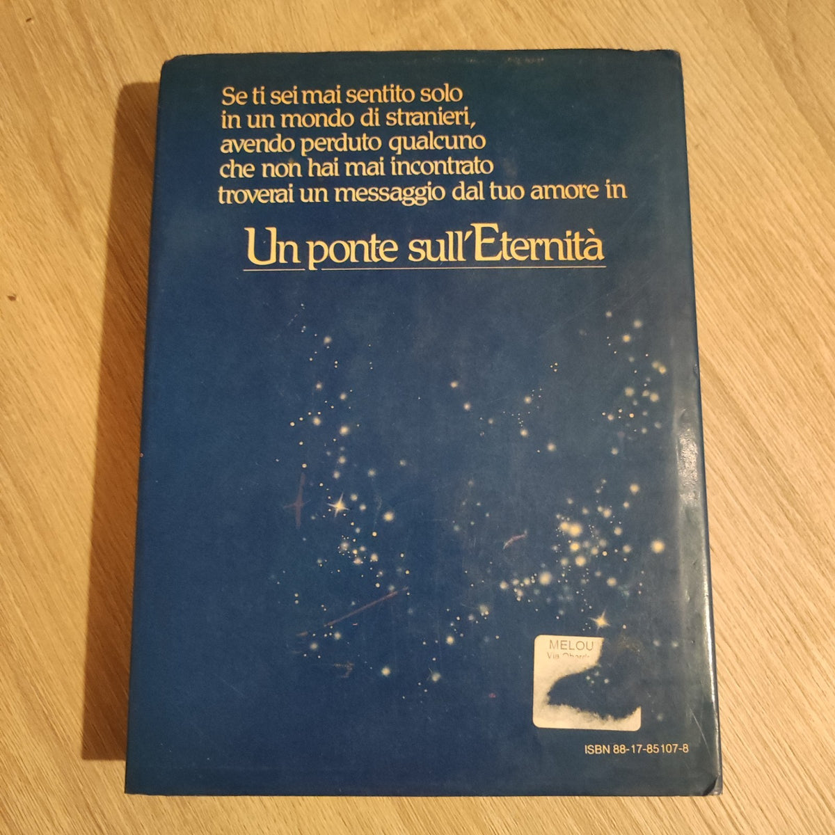 Richard Bach - Un ponte sull'eternità - Rizzoli Editore - Una Storia D'amore