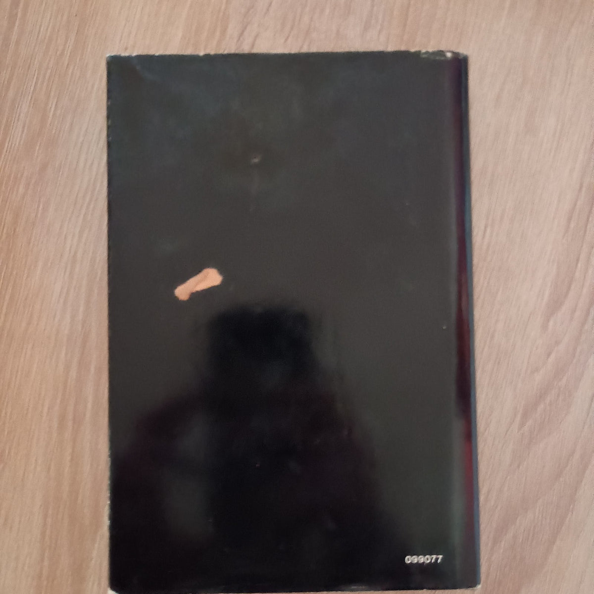 La Fontana Di Lorena - Carlo Sgorlon - Mondadori 1990
