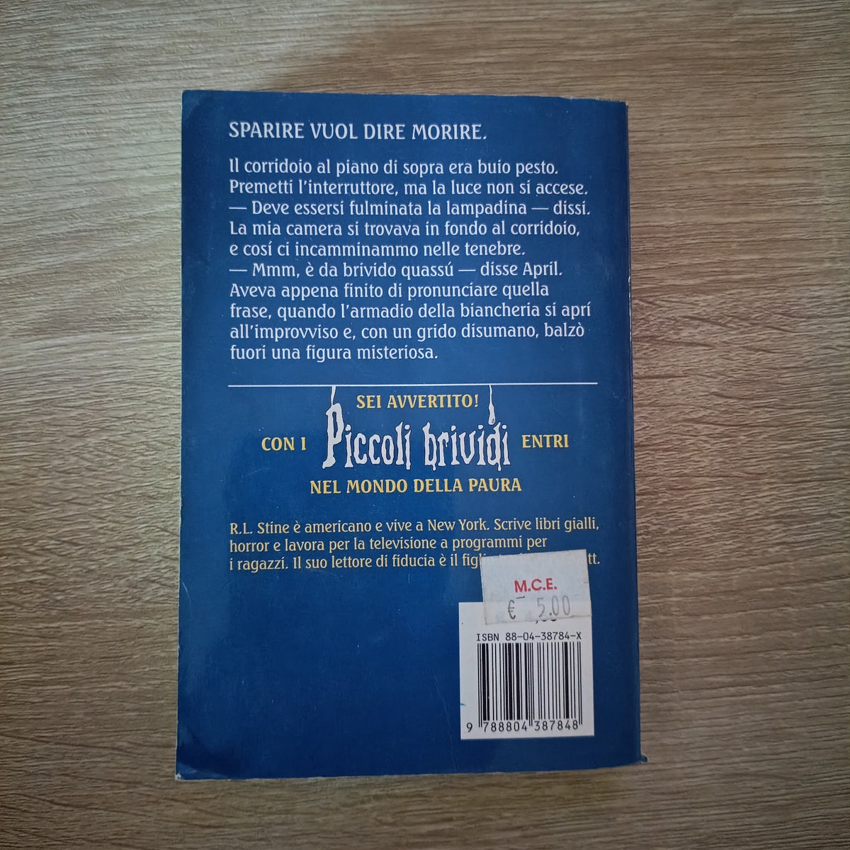 Libro Piccoli Brividi 1,2,3... INVISIBILE! - n. 6 - R. L. Stine - Mondadori