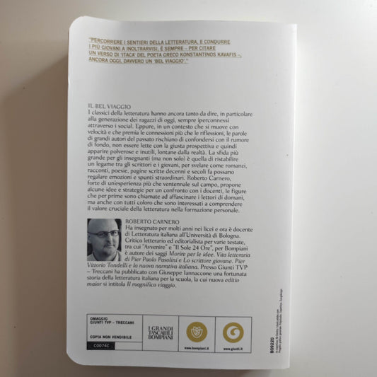 Il bel viaggio - Insegnare letteratura alla generazione Z - Carnero Roberto