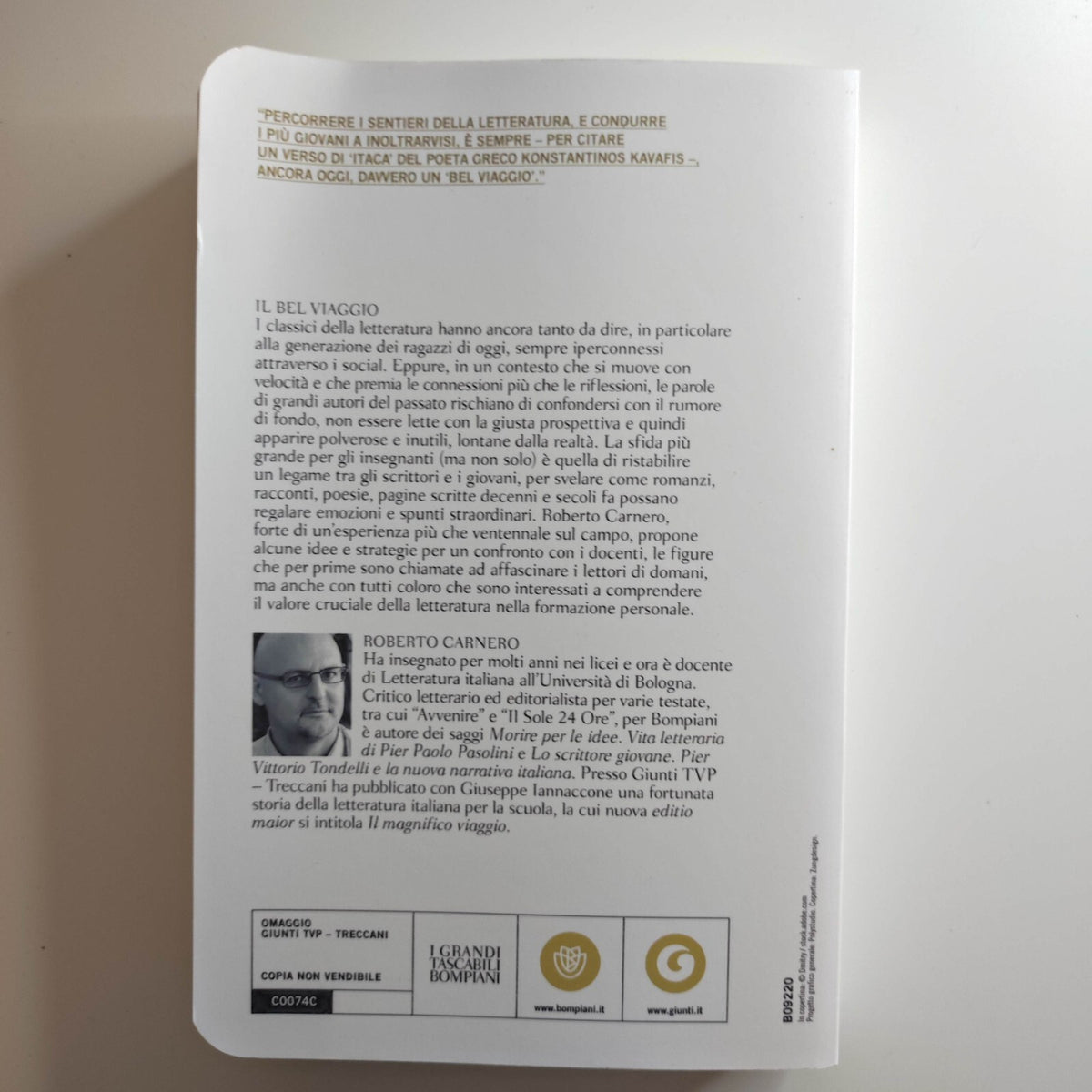 Il bel viaggio - Insegnare letteratura alla generazione Z - Carnero Roberto
