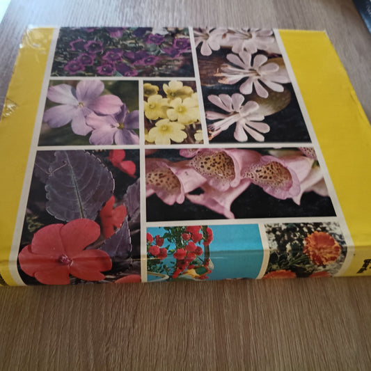 Terrazze e Giardini - Guida al Giardinaggio - European Book - 1991
