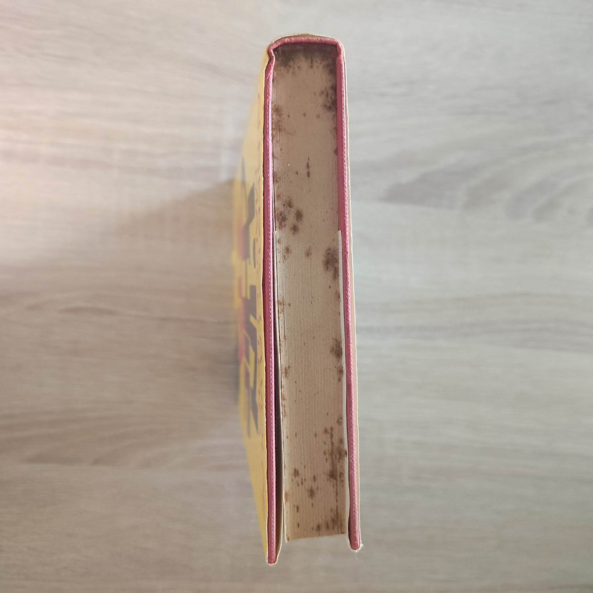 (La volpe e Leto) L'inchiesta 1988 Mondadori