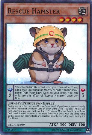 Rescue Hamster