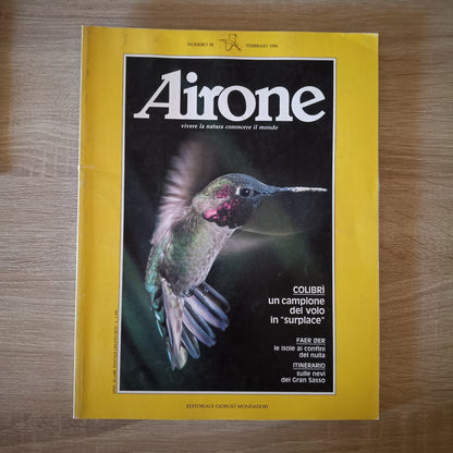 Airone Colibrì un campione del volo in surplace febbraio 1986