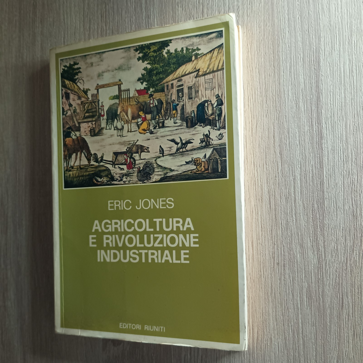 Agricoltura e rivoluzione industriale 1650-1850 – Eric Jones (1982)