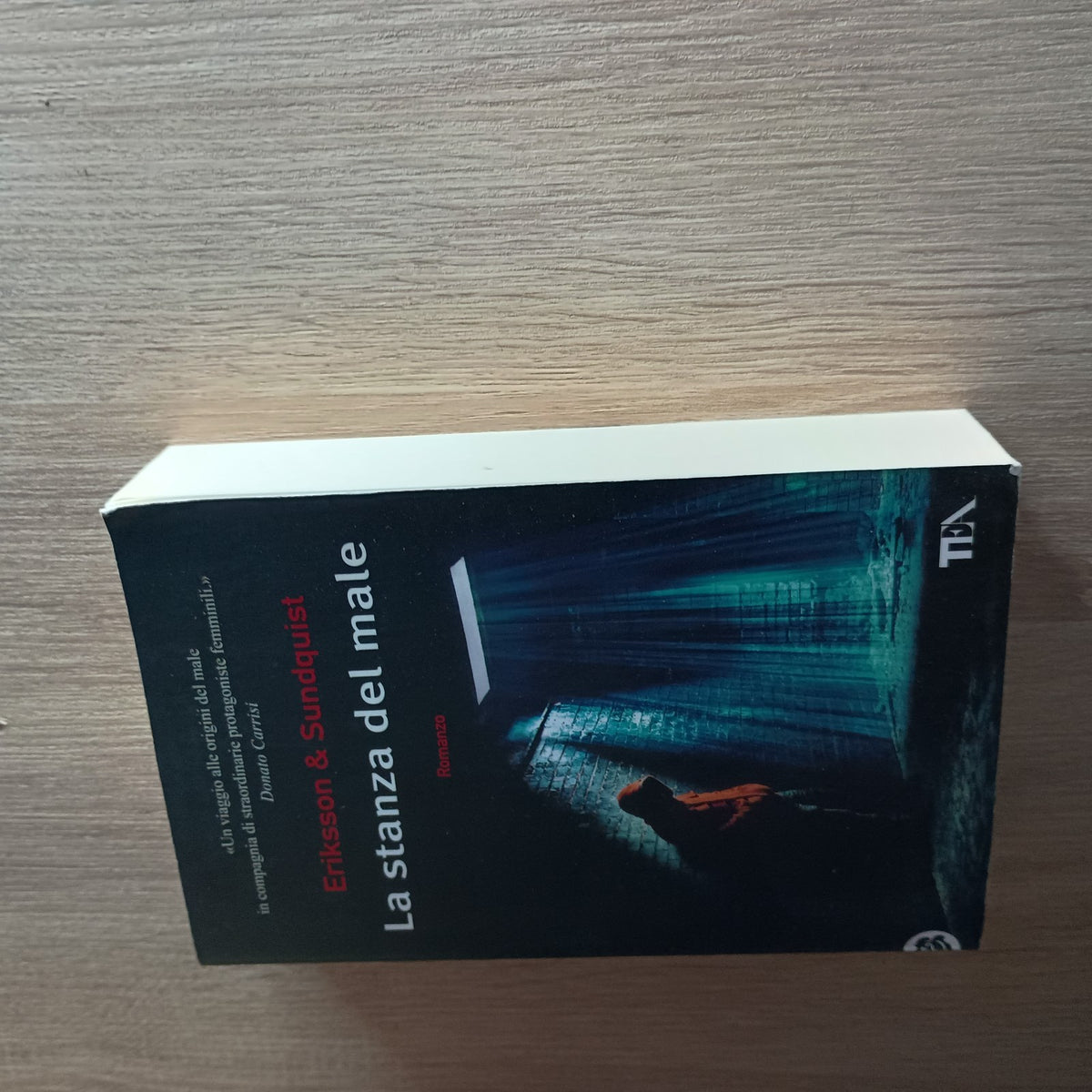 La stanza del male. Thriller di Jerker Eriksson e Hakan Axlander Sundquist - TEA