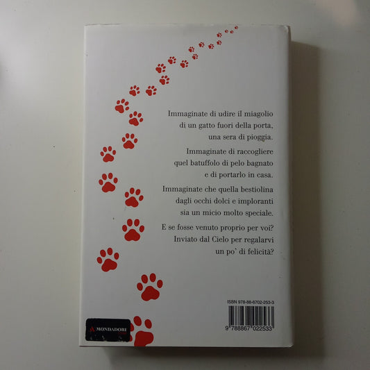 La storia di Solomon - Sheila Jeffries E. Cantoni