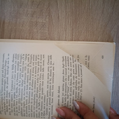 DIARIO DI UNA DONNA - INEDITI 1945 - 1960 di SIBILLA ALERAMO, ed FELTRINELLI