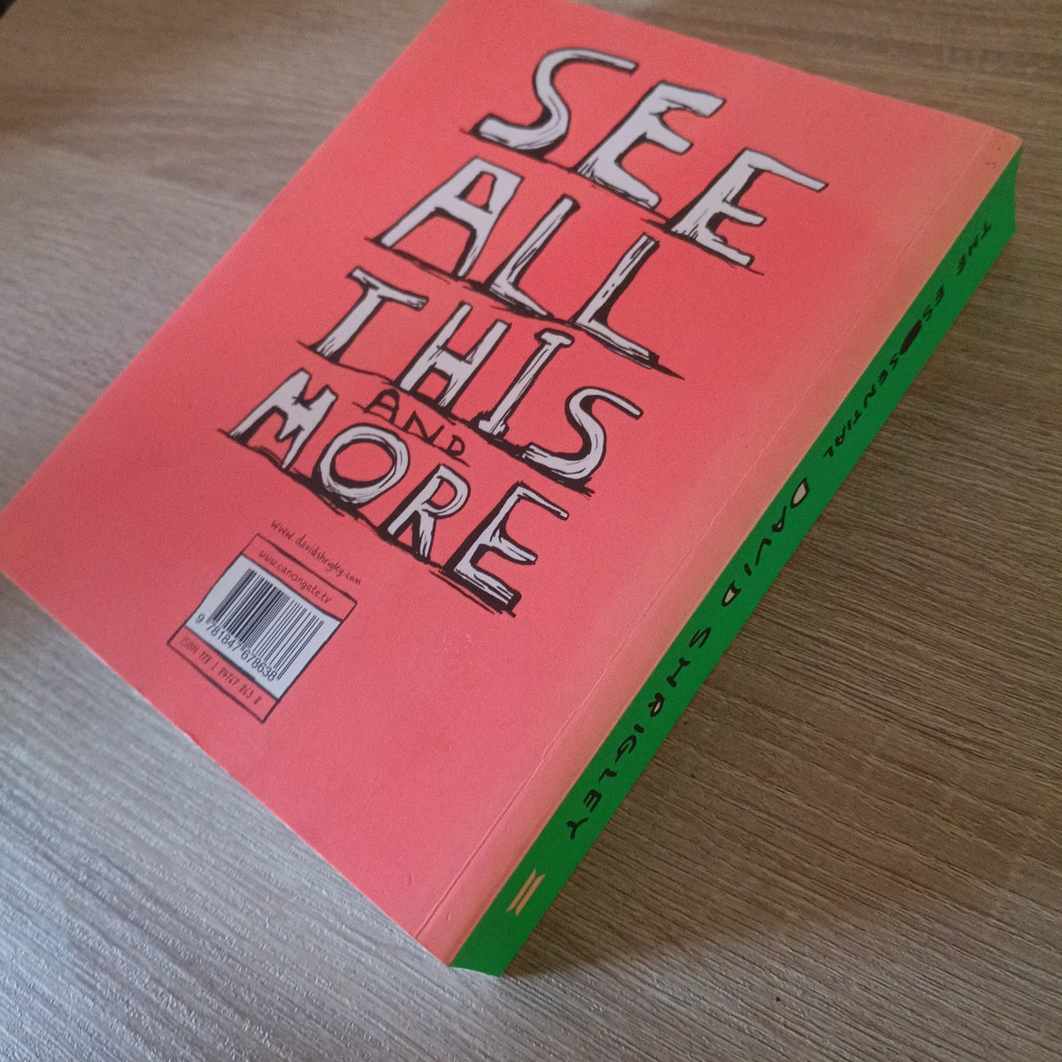 David Shrigley What The Hell Are You Doing?: The Essential David Shrigley