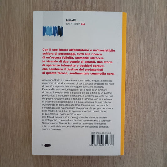Ti prendo e ti porto via - Niccolò Ammanti - Einaudi Stile Libero Big