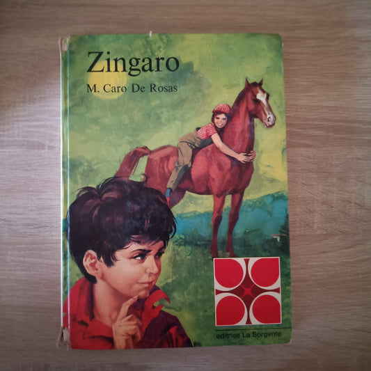 Zingaro M.Caro De Rosas Libro - editrice la sorgente