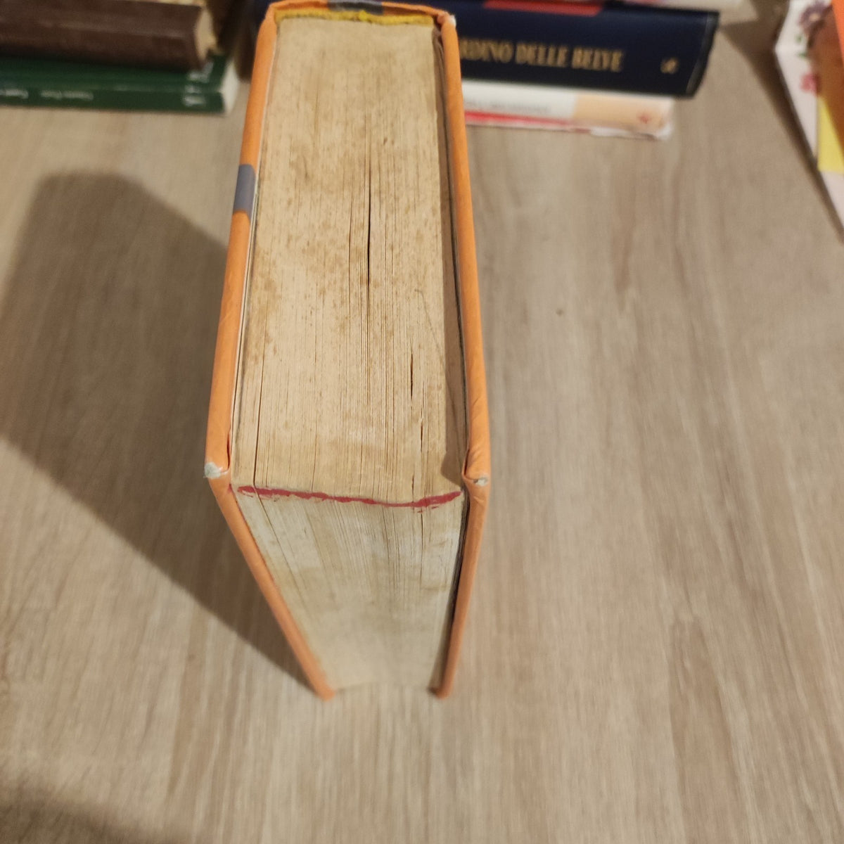 DIZIONARIO SPAGNOLO -  RUSCONI LIBRI