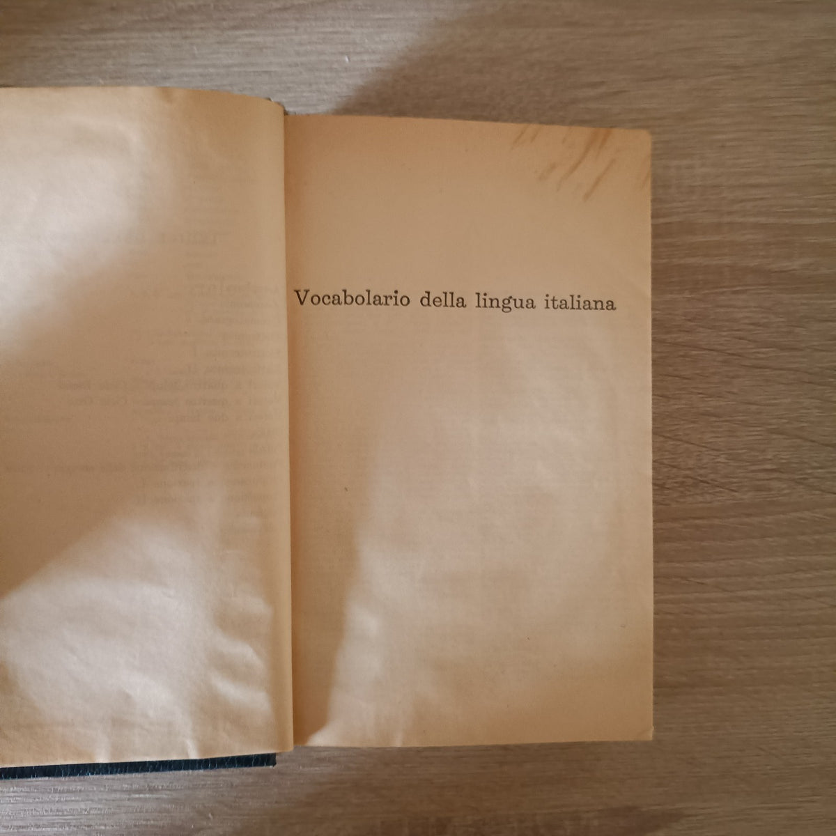 VOCABOLARIO DELLA LINGUA ITALIANA