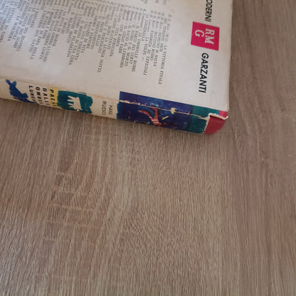 Ruesch - PAESE DALLE OMBRE LUNGHE - garzanti