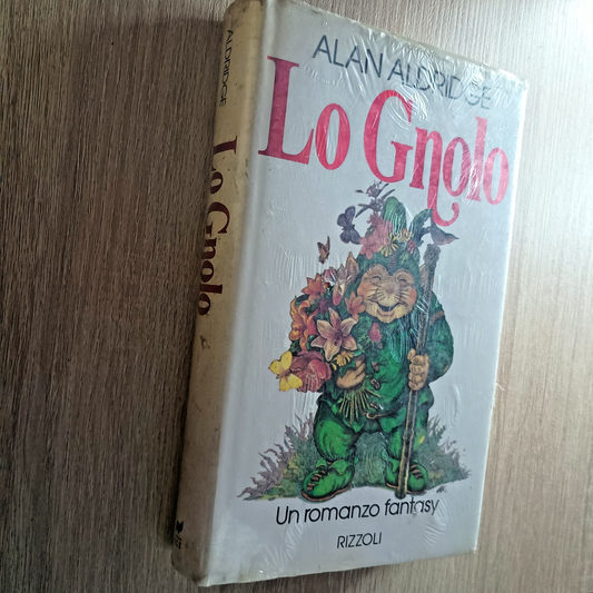 LIBRO Alan Aldridge - Lo Gnolo - Romanzo Fantasy - Rizzoli Prima edizione 1992