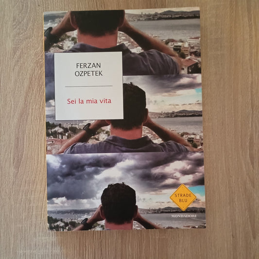 Ferzan Ozpetek - Sei la mia vita - Mondadori, 2015