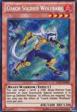 Coach Soldier Wolfbark