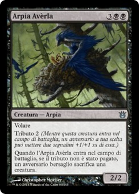 Shrike Harpy