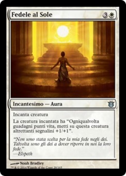 Sunbond