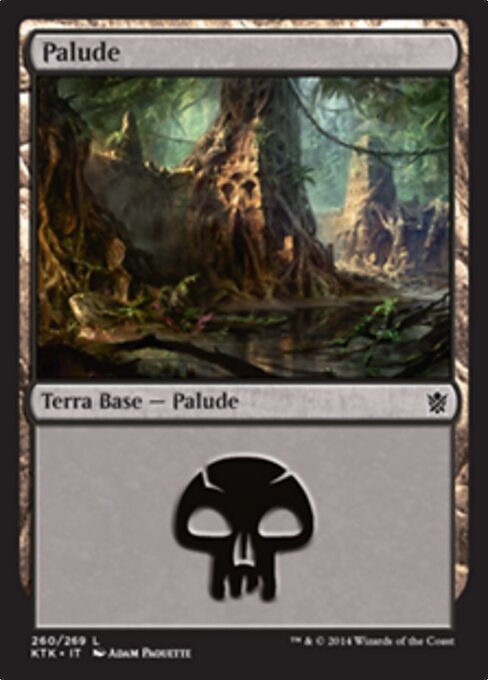 Swamp (260)